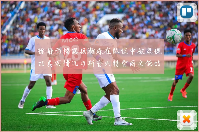 徐静雨揭露杨瀚森在队伍中被忽视的真实情况与斯普利特智商之低的尴尬真相